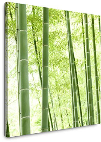 EAUZONE GmbH Bambus Wald 90x90cm Wandbild auf Leinwand, Kunstdruck Moderne Bilder