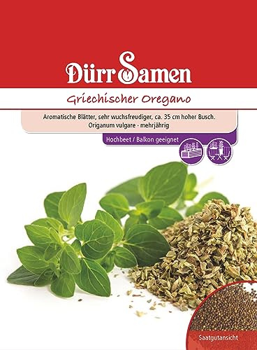 Griechischer Oregano Samen Oreganosamen ca 200 Korn Küchenkräuter Kräutersamen Saatgut Balkon Garten Hochbeet Kübel Dürr Samen