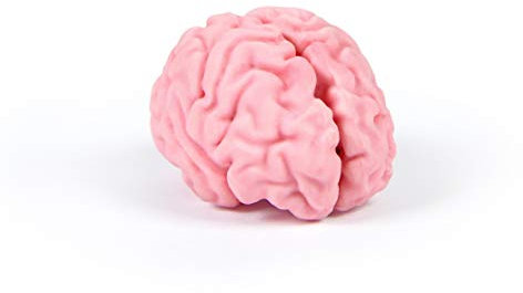 Original Fred Think Again Gehirn-Radiergummi, Pink