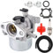 ZAMDOE Kit carburatore Tosaerba per Briggs & Stratton 799866 794304 796707 790845 799871 Motore generatore Tosaerba a 4 Tempi, con Candela, Guarnizione, Filtro Carburante