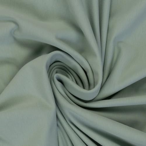 Jersey Stoff Vanessa | Swafing | NEUE FARBEN | uni (Länge am Stück: ab 50cm | Breite: 155cm) (altmint 262)