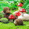 Cosiesnest 6 piezas de accesorios de jardín de hadas en miniatura, mini erizo de resina y seta, decoración de paisaje, figuras de jardín al aire libre para plantas, macetas de bonsái, suministros de