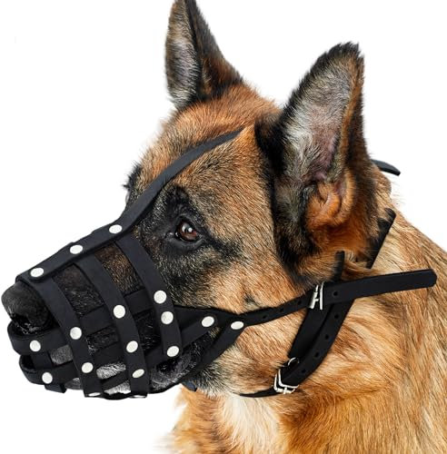 CollarDirect Maulkorb für Hunde, Deutscher Schäferhund, Dalmatiner, Dobermann, Setter, Lederkorb, mittelgroß, große Rassen, schwarz, braun (M, Schwarz)