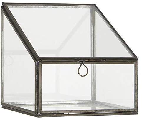 IB Laursen - Invernadero de cristal transparente con puerta abatible, ideal para plantas suculentas o cactus, dimensiones B15,3 x 15,5 x 15,3 cm
