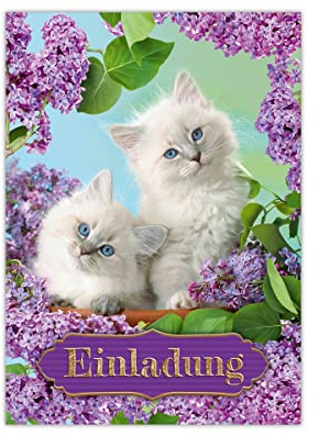 Junapack 12 Einladungskarten zum Kindergeburtstag Geburtstag Mädchen Katzen