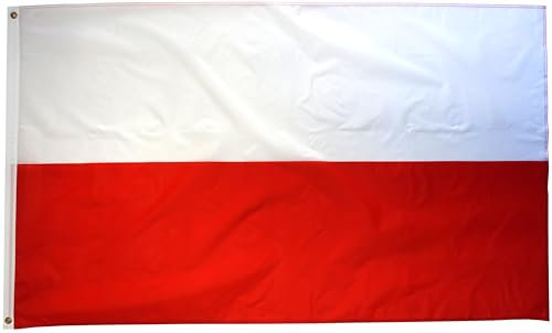 INQUARK 90 cm x 150 cm bandiera in poliestere con occhielli in ottone | articolo per fan dello sport bandiera calcio mondiale EM gioco di pallamano | decorazione per interni giardino balcone (L-PL, 90