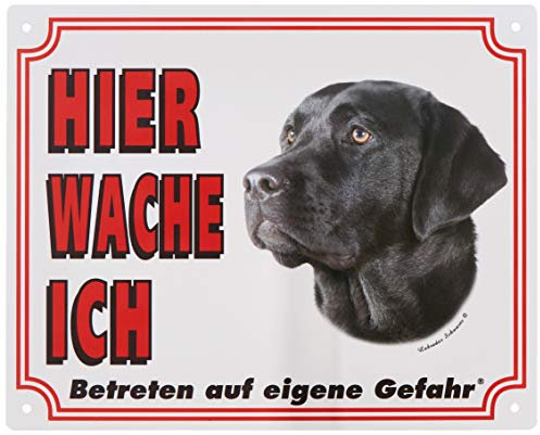 Warntafel Labrador dunkel gelb 12 x 3,5 cm