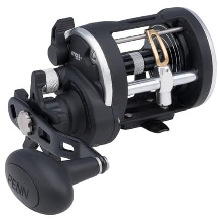 PENN Rival Level Wind Multirolle für Boote und Kajaks – Hochleistungs-Salzwasserrolle für Dorsch, Barsch, Plattfisch, Rochen, Glatthai, Seelachs, Schwarz/Silber