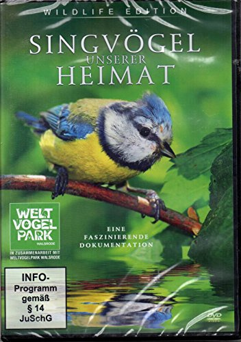 Singvögel unserer Heimat