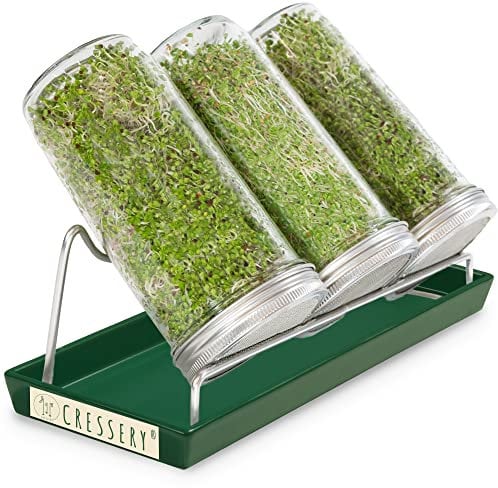 Cressery® Sprossenglas Keimglas 3er Set [grün] mit Deckel & Sieb aus hochwertigem Edelstahl für Sprossenzucht | Keimglas für Sprossen | Sprossen Keimgerät