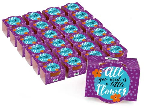 Bull & Bear 25er Set Mini Pflanzset 'All you need is a little flower' mit Blumensamen im Topf 4,5cm, Bunte Blumen als Anzuchtset mit Pflegeanleitung