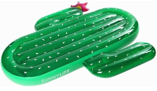 Jeux d'eau et de Plage Flotteur de Piscine Gonflable Cactus pour Adulte, lit Flottant inclinable, canapé Aquatique, Jouet, 180 x 140 cm