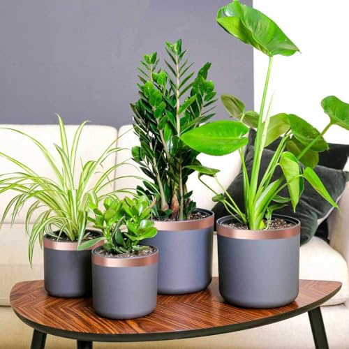 LoogCape Copper Snail Protection Tape 6 Pack 30mm Wide 20m Long Weatherproof Durable Versatile for Garden, Lawn, Greenhouse, Houseplants, Fruit Trees, Ornamental Plants