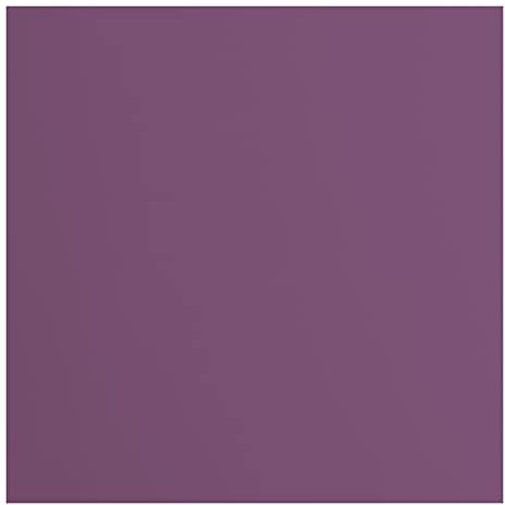 Cartoncino Florence Liscia - Materiali per Biglietti colorati 30,5 x 30,5 cm - Clematis - 20 Fogli - Carta per Scrapbooking, Biglietti, Fustellatura e Progetti con Carta - 216 gsm - Viola