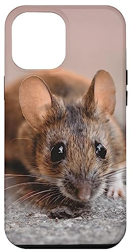Mouse Case for iPhone 13 Pro Max