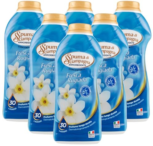 6x Ammorbidente Concentrato, FRESCA RUGIADA, Tecnologia Neutralizza Odori, Profumo Lunga Durata, 30 Lavaggi 600ml