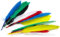KnorrPrandell 2543806 Indianerfedern, 15-22 cm, bunt