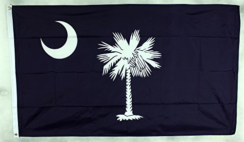 Buddel-Bini Flagge Fahne ca. 90x150 cm : South Carolina