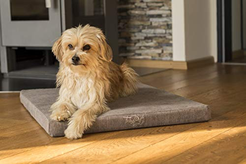 TrendPet VitaMedog 95°C - Orthopädische wasserfeste 5cm Matratze mit kochbarem Bezug (75x55cm)