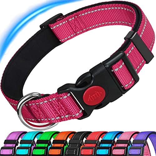ATETEO Dog Collar, Reflective Adjustable Basic Dog Collar with Soft Neoprene Padding, Durable Nylon Pet Collars for Puppy Small Medium Large Dogs, Hot Pink, M: 13-19.7 inch