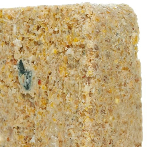 BusyBeaks Suet Fat Blocks | Premium Garden Wild Bird Food | Enhanced Formula | Naturally Blended, High in Energy & Protein-Rich Feed | Full of Nutritious Fat Fibre & Moisture (Mealworm, 50)