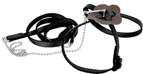 Bartagamen-Geschirr, einzigartiges Kettendesign Einfach zu verwenden Sicheres und sicheres Reptilien-Geschirr zum Tragen zu Fuß für Reptilien-Eidechsen-Kleintiere