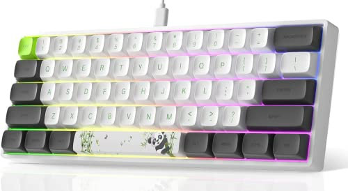 MIHIYIRY Mechanische Gaming-Tastatur, 60 % kompakte mechanische Tastatur, 61 Tasten Wired USB-C RGB mechanische Gaming-Tastatur, Backlit roter Schalter Tastatur nur für PC Windows / Mac OS