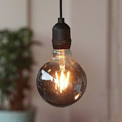Hellum Lampe à suspendre avec pile et télécommande outdoor, G95 9,5 x 13,7cm, ampoule smoky avec pile, lampe à suspendre rétro dimmable pile, lampe à suspendre outdoor pile (4xAA non incl.) 150438