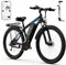 Electric Bike C29, 29'' E-Mountain Bike with 48V 15Ah Removable Battery & 250W High-Performance Motor, Professional 21-Speed with LCD Display, Electric Bicycle for Adults
