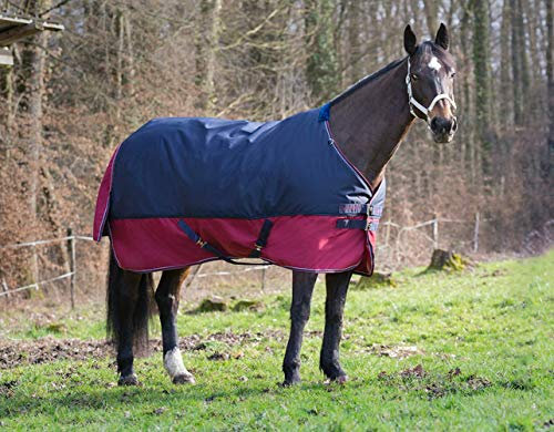 Reitsport Amesbichler Pferde Outdoordecke Weidedecke Equitheme TYREX 1200 Denier 50g Füllung, wasserdicht, atmungsaktiv, Kreuzgurte, Schweiflatz, 145 cm
