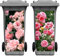 Nezyo 2 Sheets Wheelie Bin Stickers, Rose Flowers Dustbin Sticker Decorative Self Adhesive Waterproof Large Bin Decal for Dustbin Fridge Wall Indoor Outdoor Home Decor, 14. 37 x 30. 71 Inch