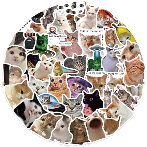 50 Stück Lustige Meme Sticker Set,Meme Aufkleber für Auto Laptop Skateboard Fahrrad Moped Motorrad Fahrrad Computer,Geeignet für Erwachsene (Katzen Meme 2)