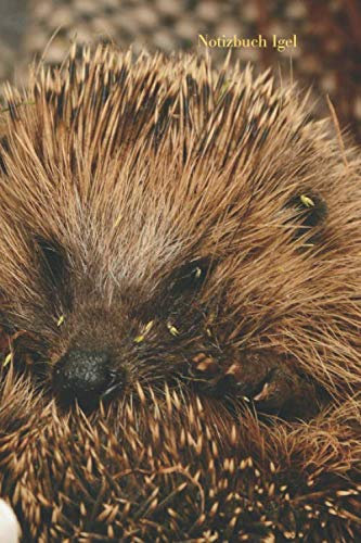 Notizbuch Igel: Tagebuch, Notizbuch mit E-Mail, Telefon und Geburtstagsliste für Schule, Hobby und Freizeit.