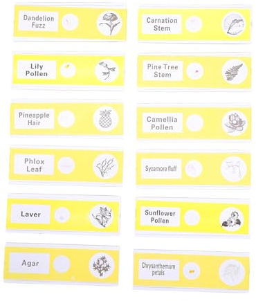 ELAYARD 12pcs Microscope Prepared Slides for Boys and Girls with Abs Plant Specimens, Plastic Biological Sample Slides for School Science Education and Biology Experiments