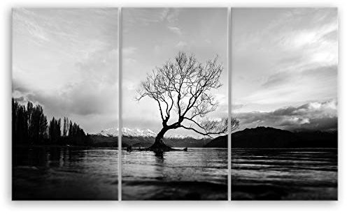 Bilderdepot24 hochwertiges Leinwandbild XXL - The Wanaka Tree - Neuseeland - schwarz weiß - 165 x 100 cm mehrteilig (3 teilig)