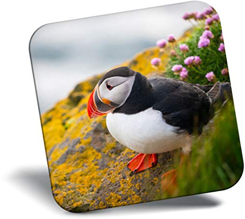 Destination Vinyl Ltd Fridge Magnet - Beautiful Atlantic Puffin Bird 21164