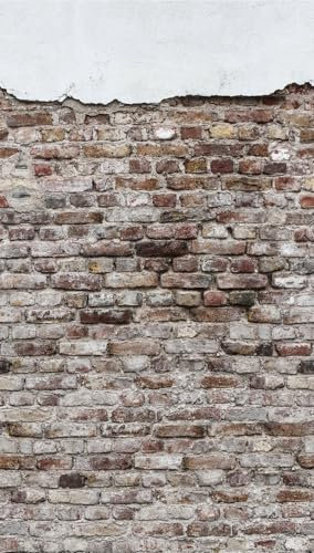 Livingwalls Fototapete Backstein Wand Steinoptik Grau Braun 383331 The Wall 1,59 m x 2,80 m Wohnzimmer Esszimmer Industrial