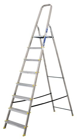BiGDUG Aluminium Step Ladder - 8 Step Folding Ladder - Non-Slip Surface Hand Rails - Closed Height 2400 mm Platform Height 1650mm