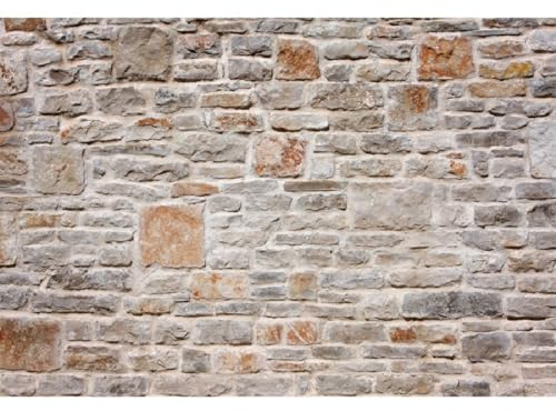 Xiaoterna 10x8ft Wall Backdrop Rustic Old Wall Farm Stone Brown Brick Wall Photography Background Vintage Medieval Stone Wall Backdrop Kids Adult Family Portrait Photo Studio Props Suppliers