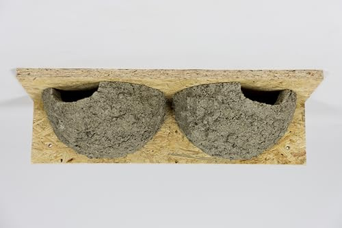 Mehlschwalbendoppelnest, Schwalbennest, Nistkasten, Nisthilfe, Mehlschwalbennest