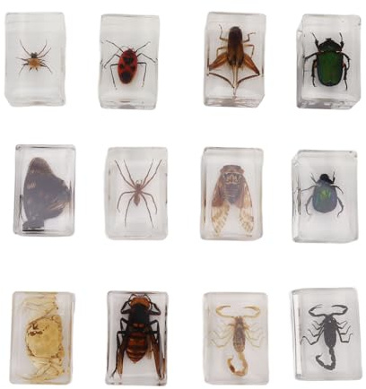 Real Specimens in Synthetic Material | 12 Pcs Science Education Classroom Set | Transparent Creature Collection for Young Learners/Students/Nature Study | Handmade Tabletop