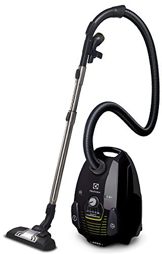 Electrolux - Aspirateur avec sac ELECTROLUX ZSPGREEN
