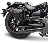 Tasche, leder einzeln, für linke Seite, für Harley Davidson Motorrad Rachmentasche Tasche Leder Rechts Motorradtasche Satteltasche Gepäcktaschen Werkzeugtasche für Harley Davidson Sportster 1200 883 von motorrad Satteltaschen Tasche für von Sportster 48 Nightster Iron Custom Motorrad Tasche Satteltaschen für Sportster 883 1200 von XL 883 1200 Forty Eight 48 1200X 883I Super Low Custom Roadster Seventy Two 48 72