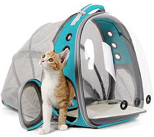halinfer Sac à Dos Extensible pour Chat avec Capsule d'espace Transparent Transparent pour Animal de Compagnie de Petit Chien, Sac à Dos de Voyage, Vert pin