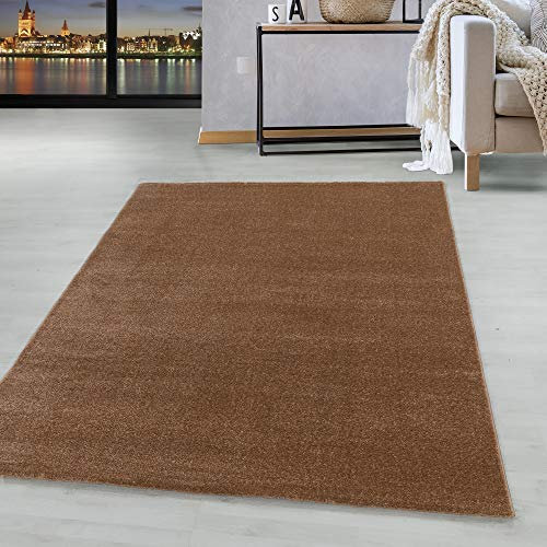 Carpetsale24 Designer Teppich Modern, Einfarbig Kurzflor Teppich, Rechteckig, Kupferfarbe, Pflegeleicht, Wohnzimmer Teppich, Größe:80 x 150 cm