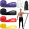 Fitnessbänder, Resistance Bands Widerstandsstufe 5-100LB, Widerstandsbänder Für Krafttraining, Pilates, Physiotherapie, Yoga, Klimmzughilfe, Geeignet Für Männer Und Frauen (4 Stücke)