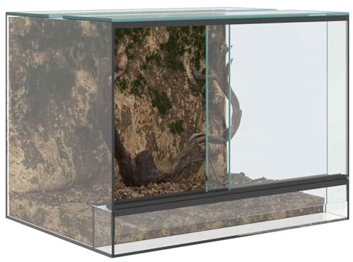 vidaXL Terrarium mit Speicher Transparent 40 x 30 x 30 cm Glas