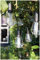 Luxform Alicante Solar-LED-Lichterkette, Schwarz