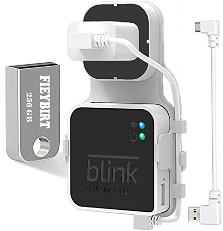 Fieybirt 256GB USB Flash Drive for Local Video Storage with Blink Sync Module 2 Mount