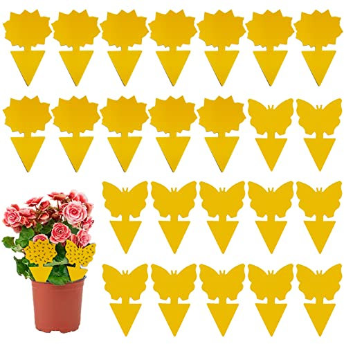 24PCS Profession Pièges Collants Double Face, Anti Moucherons Interieur Autocollant Moucherons Cuisine, Anti Moucherons Plantes Interieur Piege Moucheron pour l'intérieur et l'extérieur Les Plantes